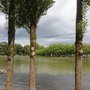 Photo of Parc de la dodaine