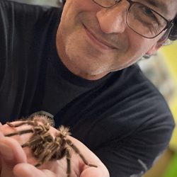 Critter Squad Wildlife Defenders - The first time in my 54 years that I willingly touch a spider!