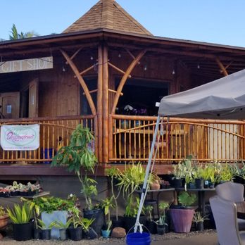 Maui Dragon Fruit Farm - Tiny gift shop. - Fruits & Veggies Near Me - Lahaina, Hawaii Maui Dragon Fruit Farm - Tiny gift shop. - Fruits & Veggies Near Me - Lahaina, Hawaii
