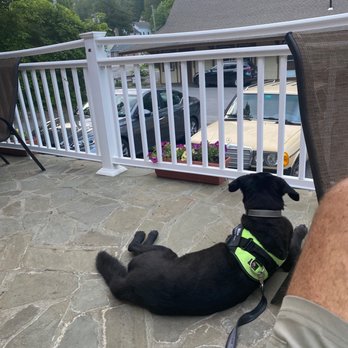 Mizza's - Dog friendly , with WiFi !! Yummy - Pizza Near Me - Lakeville, Connecticut