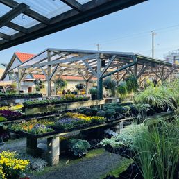 Exterior photo of Prickly Pear Garden Centre - Richmond, British Columbia Exterior photo of Prickly Pear Garden Centre - Richmond, British Columbia