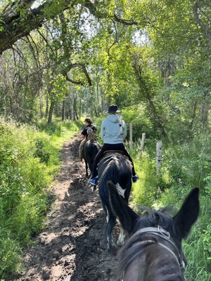 Alaska Horse Adventures, LLC by null