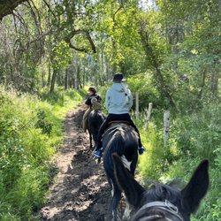 Alaska Horse Adventures - Riding along the trail