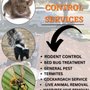 Photo of PAL Pro Pest Control