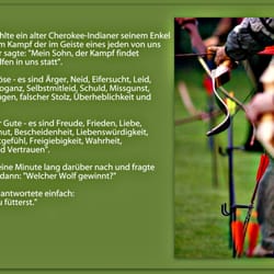 Abenteuer Lernen - Wir haben eine Philosophie dahinter: http://www.bogenschiessen-koeln.com/abenteuer-lernen.html