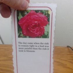 Pachello's Printing - Bookmarker