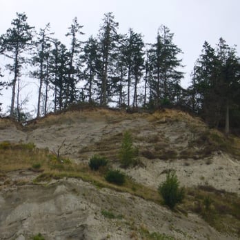 Double Bluff Beach - Beaches Near Me - Freeland, Washington