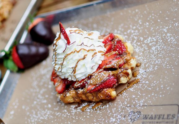 Press Waffle Co. - Halidom by null