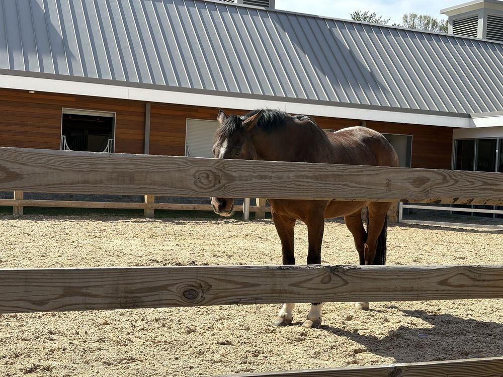 U S Park Police Horse Stables and Education Center - social services organization in Washington, DC, DC