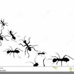Maximum Exterminating