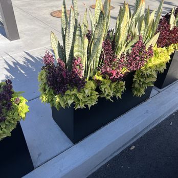 Starbucks - Coffee & Tea Near Me - La Puente, California Starbucks - Coffee & Tea Near Me - La Puente, California