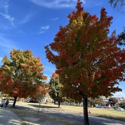 Byrd Park