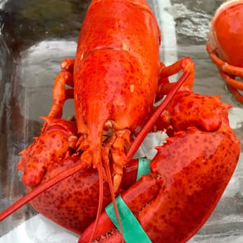 Claws - They sell fantastic sea food - Seafood Near Me - West Sayville, New York
