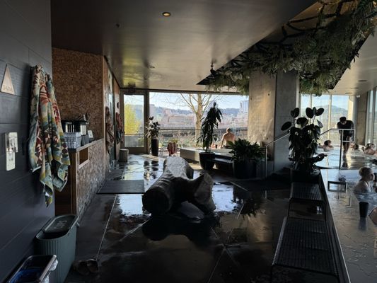 Knot Springs by null