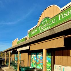 Lees' Feed & Western Store - Yup... fish too!