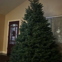 Frosty's Forest Christmas Tree Farm - Another successful year getting our Christmas . Owner Richard is Amazing.