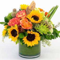 Allen's Flowers & Plants - San Diego