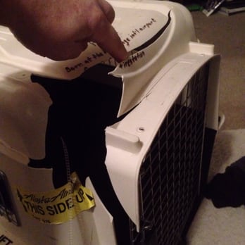 Petco - One fall off tailgate - Pet Training Near Me - Anchorage, Alaska