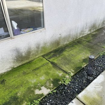 Perfectus Pressure Wash - Before: Algae growth - Pressure Washers Near Me