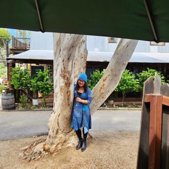 Cornell Wine - Me by a tree, with my wine. - Wine Bars Near Me - Agoura Hills, California