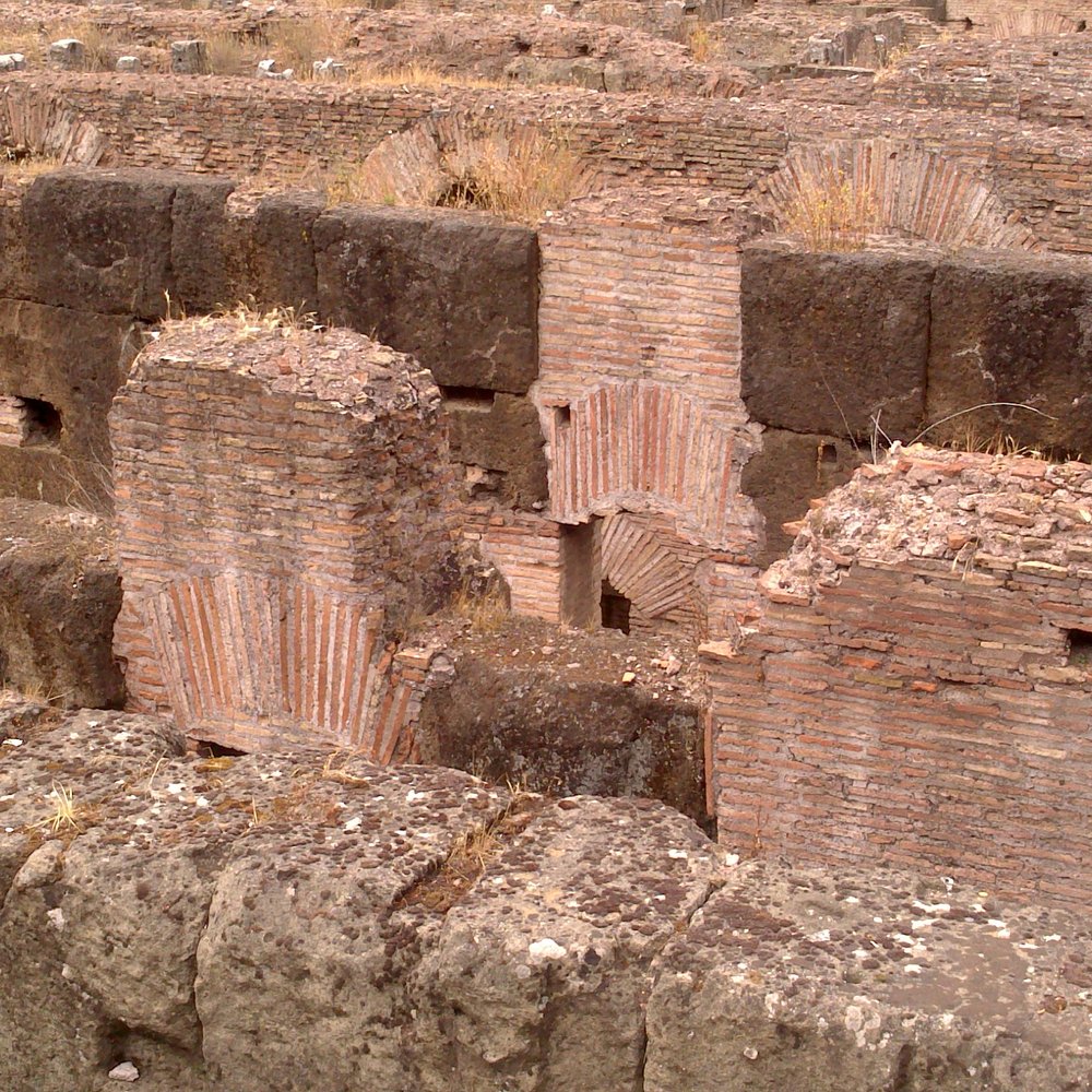 Colosseo - Local Flavor Near Me - Rome, RM