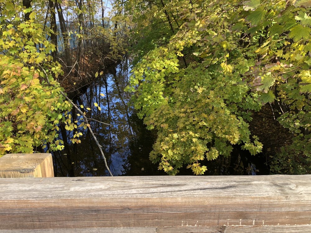 ALARIS HEALTH Updated November 2024 5 Brook End Dr, West Orange