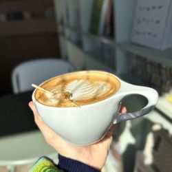 Daily Edition - Spiced Latte
