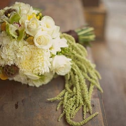 Sera Bella Flowers
