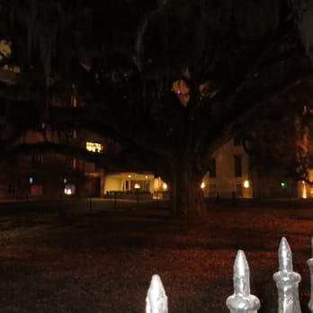 Blue Orb Tours - Oldest tree in Georgia, maybe the south. Estimated born in 1700s. Had been surrounded by cemetery, hospital, and parking lot. - Tours Near Me - Savannah, Georgia