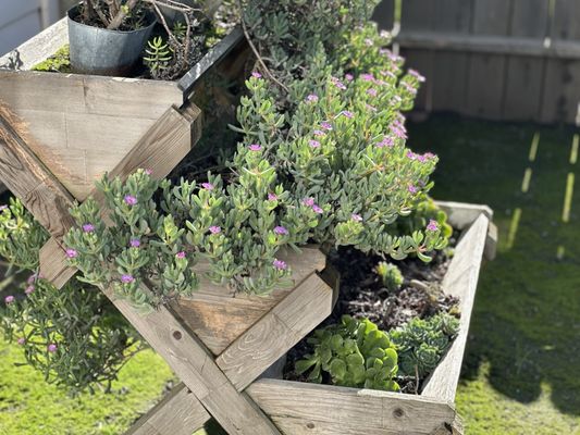 Sugar Ray's BBQ by null