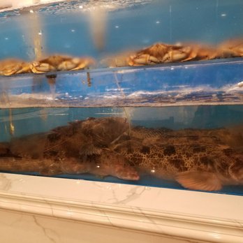 Koon Bo Restaurant - Live Seafood display - Chinese Near Me - Vancouver, British Columbia
