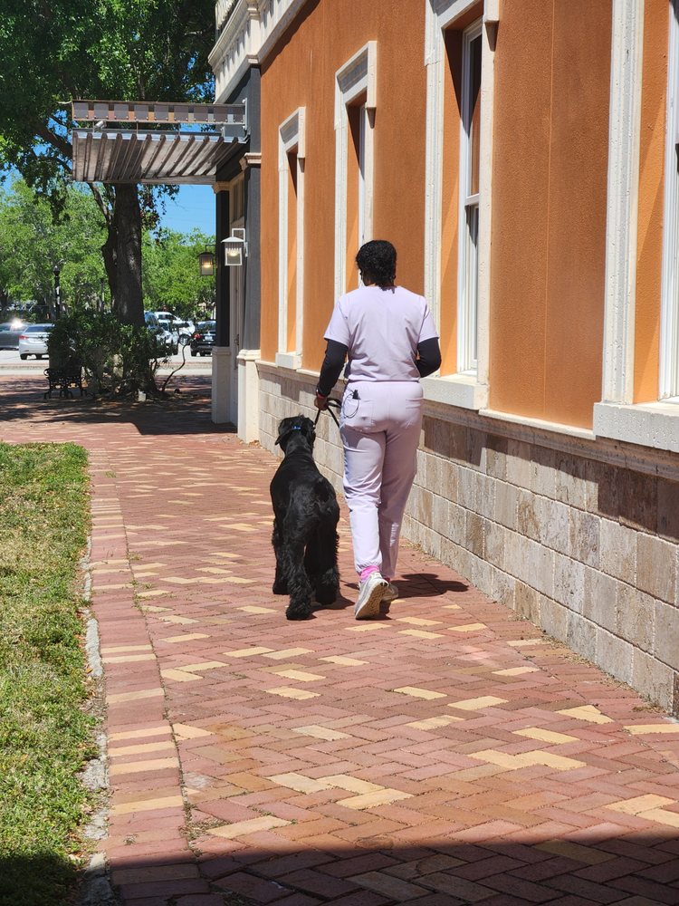 Bo's Pawsitive K9 Services Image