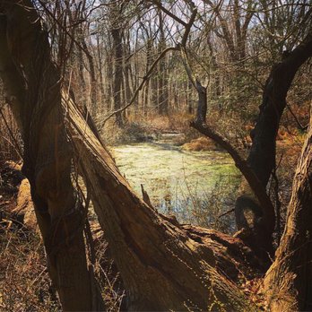 Ct Audubon Center At Fairfield - Old Dirty Swamp Trail - Zoos Near Me - Fairfield, Connecticut