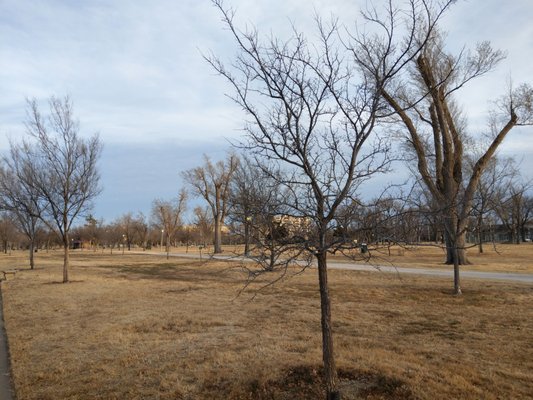 Ellwood Park by null