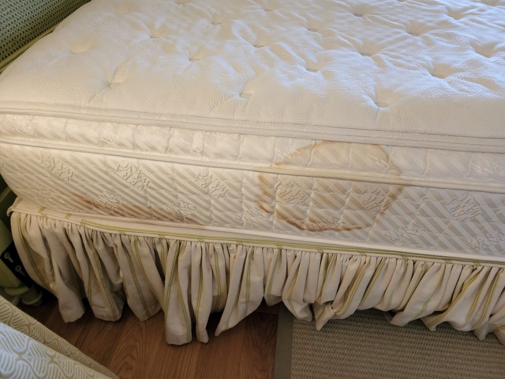 GOLDEN TOUCH CARPET DRY CLEANING Updated October 2024 28 Photos