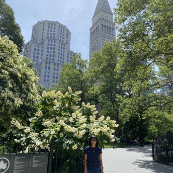 Madison Square Park - Parks Near Me - New York, New York Madison Square Park - Parks Near Me - New York, New York