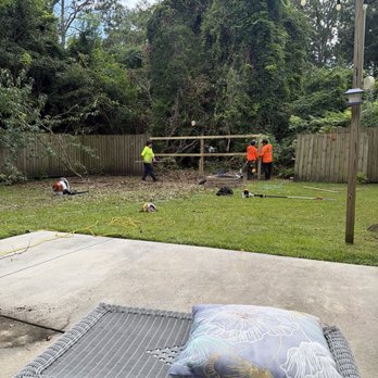 Cris Tree Service - Tree Services Near Me Cris Tree Service - Tree Services Near Me