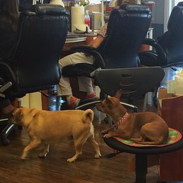 Must love dogs. Must love dogs.