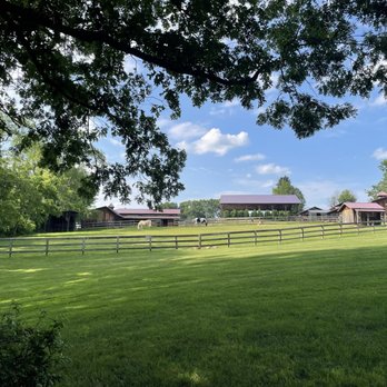 The Farm - The grounds at The Farm in Candler - Venues & Event Spaces Near Me - Candler, North Carolina