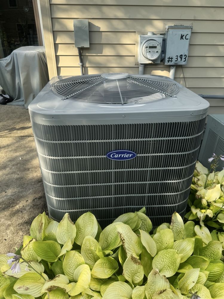 Slide of Bovio Rubino Service