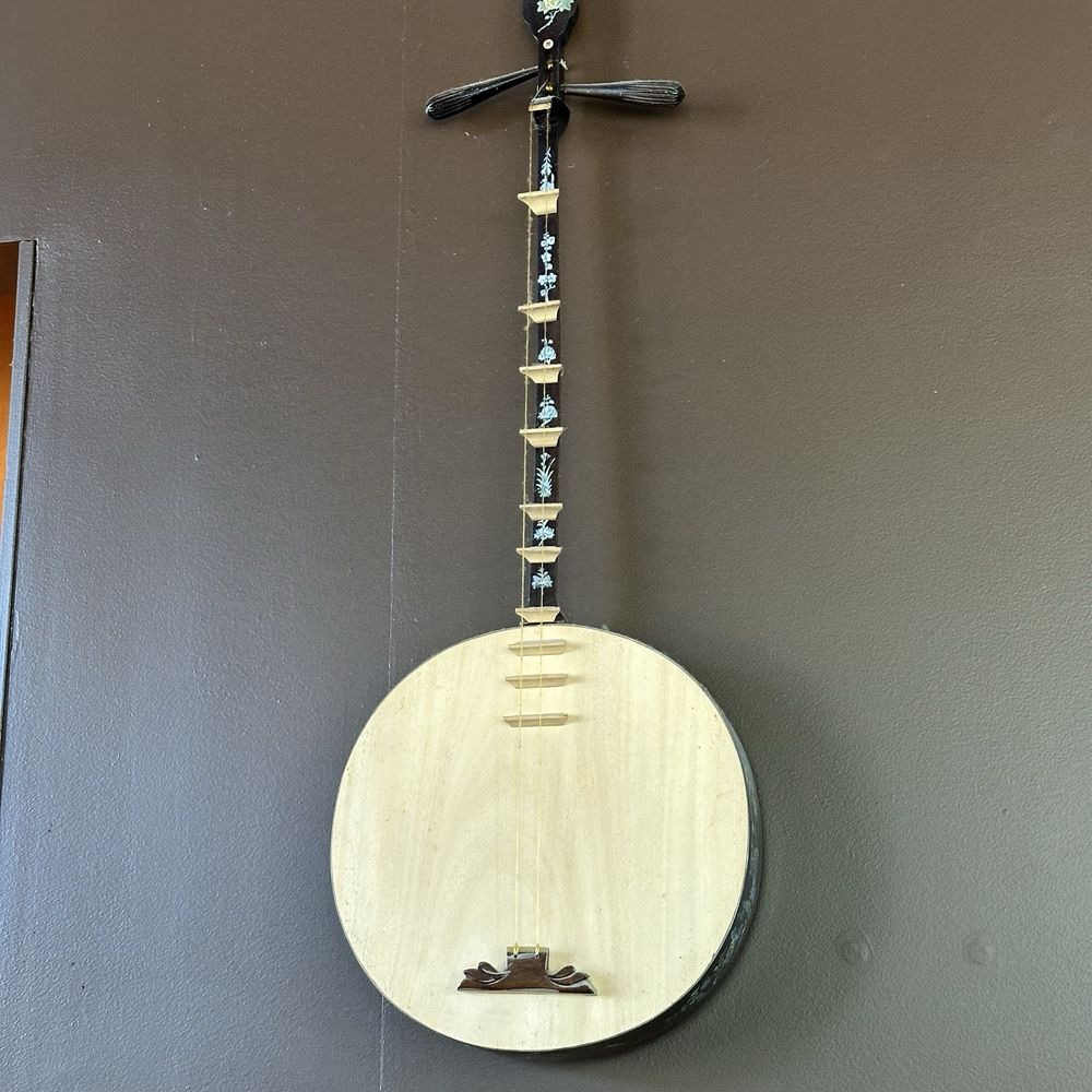 Papaya - Banjo/Sitar Halfbreed - Vietnamese Near Me - Renton, Washington