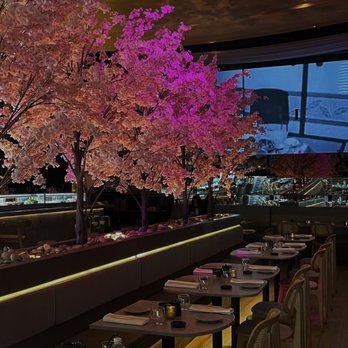 Paperfish Sushi - Sushi Bars Near Me - Miami, Florida Paperfish Sushi - Sushi Bars Near Me - Miami, Florida