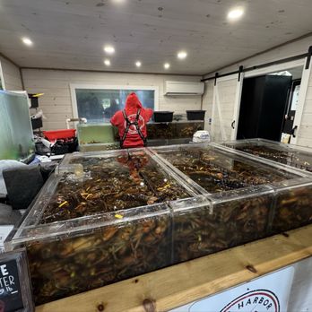 Bar Harbor Lobster Pound - Seafood Near Me - Bar Harbor, Maine