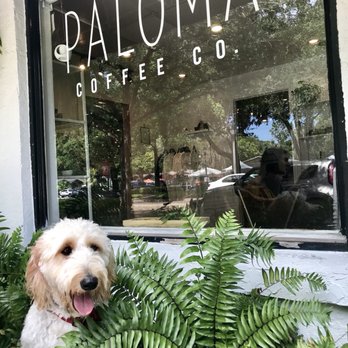 Paloma Coffee Co - Bakeries Near Me - Windermere, Florida