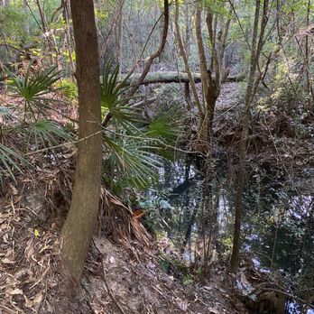 Edward Ball Nature Trail - Hiking Near Me - Pensacola, Florida Edward Ball Nature Trail - Hiking Near Me - Pensacola, Florida