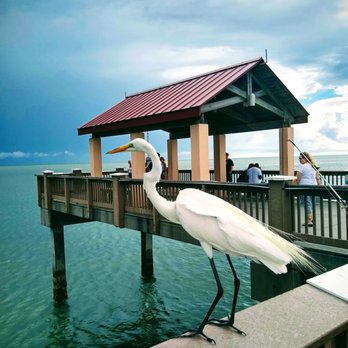 Clearwater Beach - Beaches Near Me