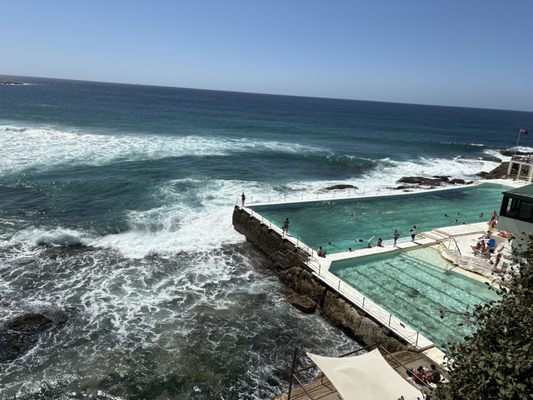 Bondi Icebergs Swimming CLUB by null
