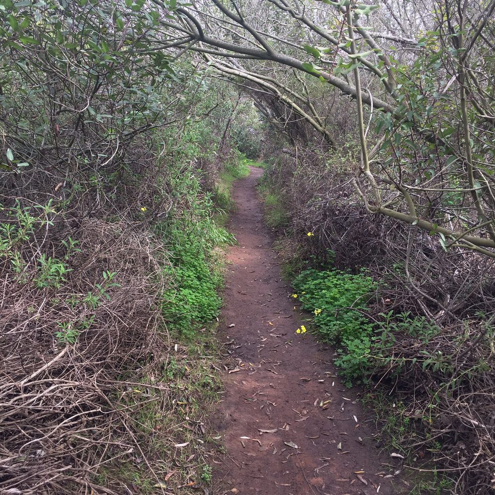 Copper Creek Falls Trail - Restricted Access - Hiking Near Me - San Marcos, California Copper Creek Falls Trail - Restricted Access - Hiking Near Me - San Marcos, California