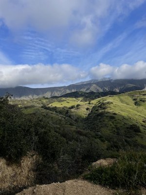 Marshall Canyon Regional Park by null