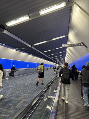 Dulles International Airport by null